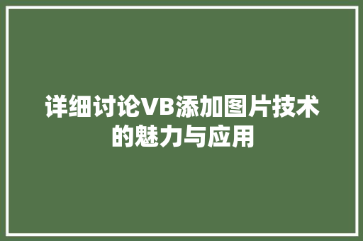 详细讨论VB添加图片技术的魅力与应用 必应SEO