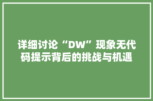 详细讨论“DW”现象无代码提示背后的挑战与机遇