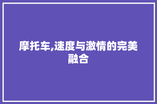 摩托车,速度与激情的完美融合 神马SEO