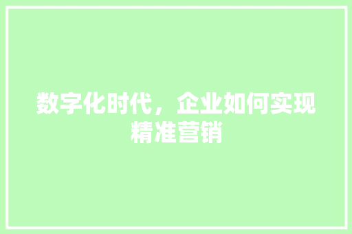数字化时代，企业如何实现精准营销 神马SEO