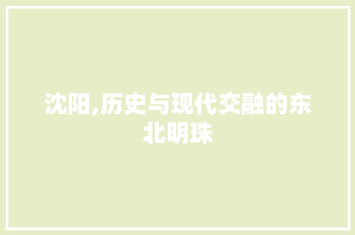 沈阳,历史与现代交融的东北明珠