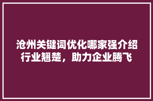沧州关键词优化哪家强介绍行业翘楚，助力企业腾飞