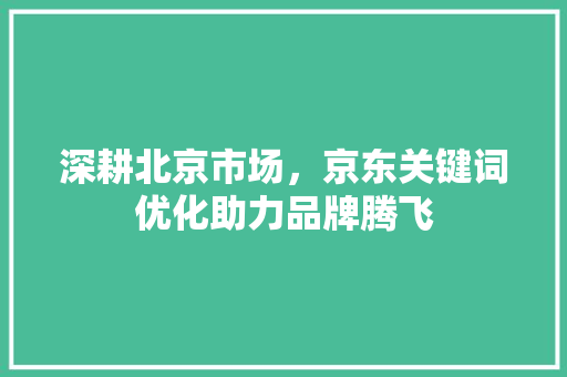 深耕北京市场，京东关键词优化助力品牌腾飞
