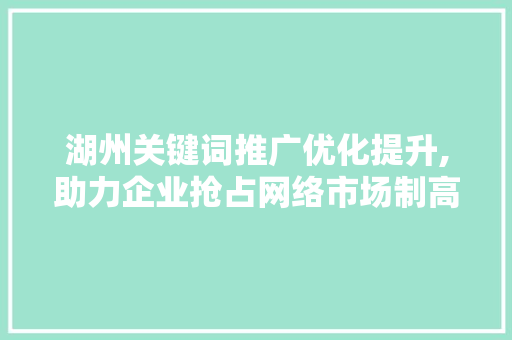 湖州关键词推广优化提升,助力企业抢占网络市场制高点