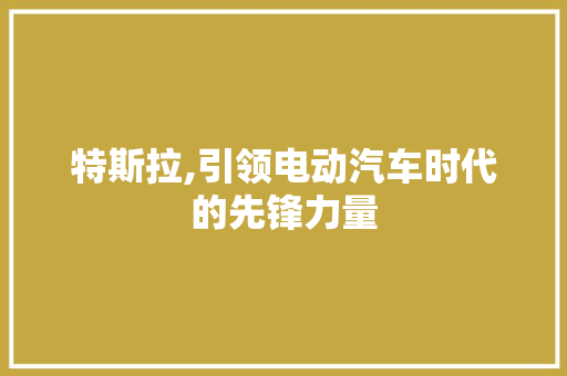 特斯拉,引领电动汽车时代的先锋力量