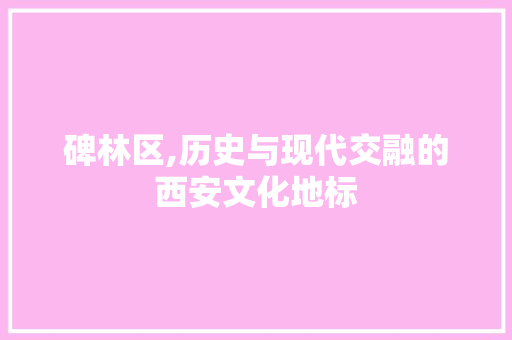 碑林区,历史与现代交融的西安文化地标 神马SEO