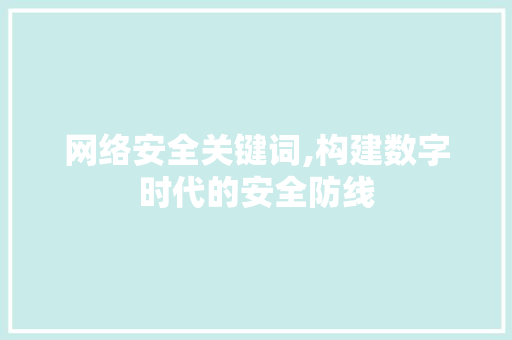 网络安全关键词,构建数字时代的安全防线