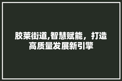 胶莱街道,智慧赋能，打造高质量发展新引擎
