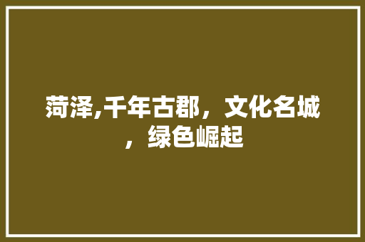 菏泽,千年古郡，文化名城，绿色崛起