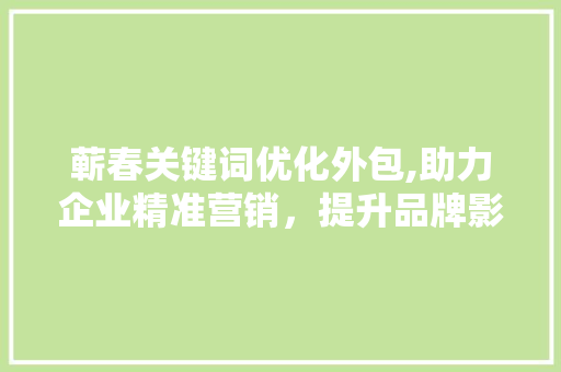 蕲春关键词优化外包,助力企业精准营销，提升品牌影响力 GoogleSEO