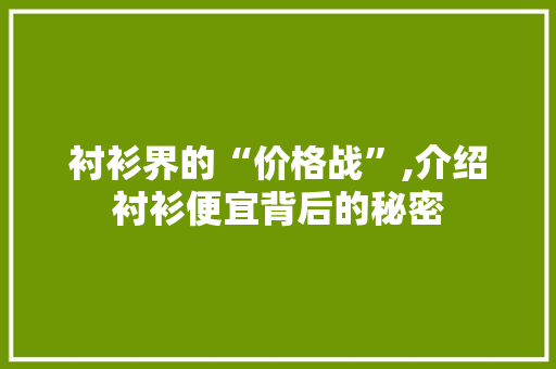 衬衫界的“价格战”,介绍衬衫便宜背后的秘密 百度SEO