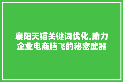 襄阳天猫关键词优化,助力企业电商腾飞的秘密武器 必应SEO