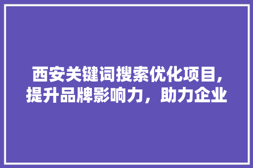 西安关键词搜索优化项目,提升品牌影响力，助力企业腾飞 GoogleSEO
