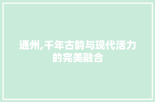 通州,千年古韵与现代活力的完美融合 百度SEO