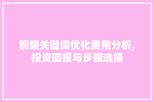 铜陵关键词优化费用分析,投资回报与步骤选择 GoogleSEO