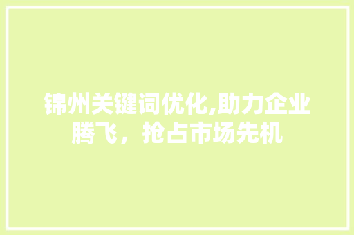 锦州关键词优化,助力企业腾飞，抢占市场先机