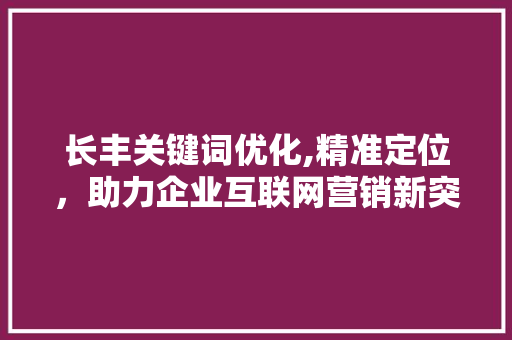 长丰关键词优化,精准定位，助力企业互联网营销新突破