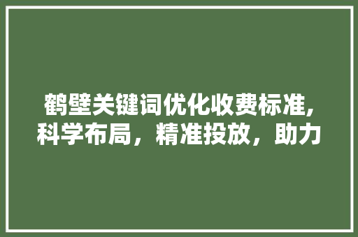 鹤壁关键词优化收费标准,科学布局，精准投放，助力企业提升在线影响力 GoogleSEO