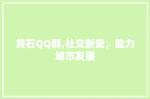 黄石QQ群,社交新宠，助力城市发展 搜狗SEO