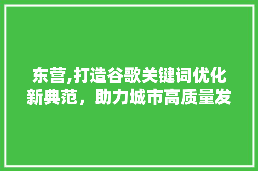 东营,打造谷歌关键词优化新典范，助力城市高质量发展