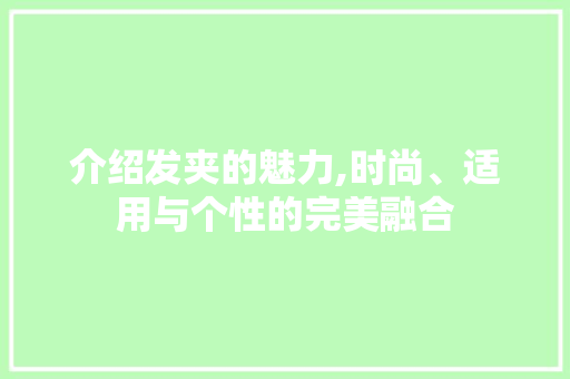 介绍发夹的魅力,时尚、适用与个性的完美融合 未命名
