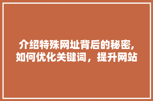 介绍特殊网址背后的秘密,如何优化关键词，提升网站流量 百度SEO