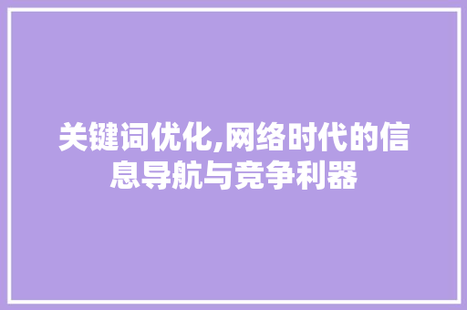 关键词优化,网络时代的信息导航与竞争利器 GoogleSEO