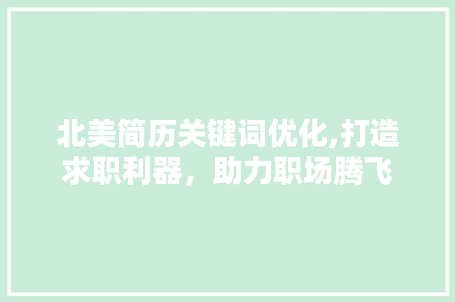 北美简历关键词优化,打造求职利器，助力职场腾飞 神马SEO