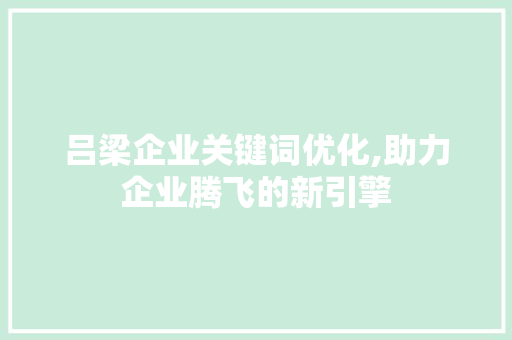 吕梁企业关键词优化,助力企业腾飞的新引擎 必应SEO