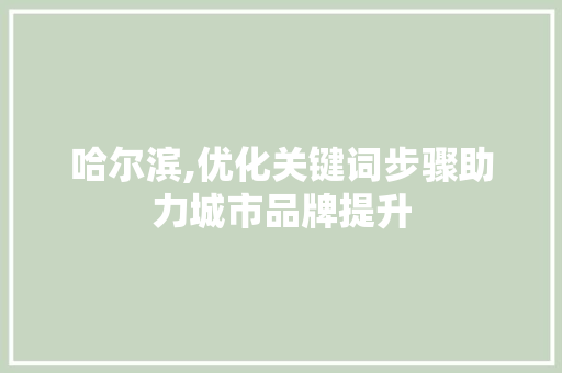 哈尔滨,优化关键词步骤助力城市品牌提升 百度SEO