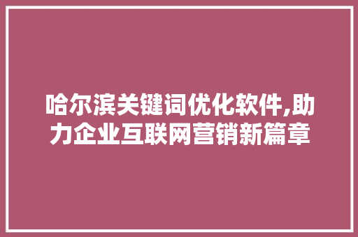 哈尔滨关键词优化软件,助力企业互联网营销新篇章 神马SEO