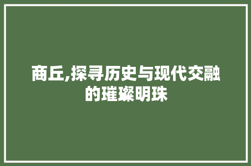 商丘,探寻历史与现代交融的璀璨明珠 神马SEO