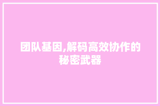团队基因,解码高效协作的秘密武器 百度SEO