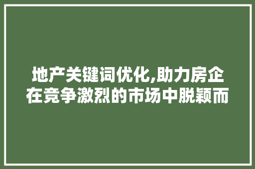 地产关键词优化,助力房企在竞争激烈的市场中脱颖而出 百度SEO