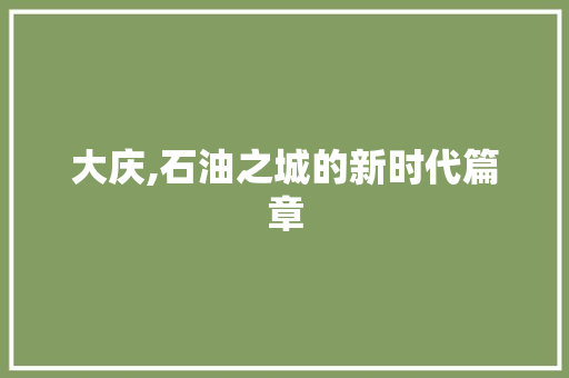 大庆,石油之城的新时代篇章 必应SEO