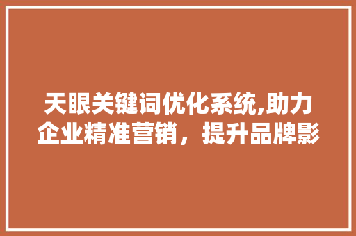 天眼关键词优化系统,助力企业精准营销，提升品牌影响力 神马SEO