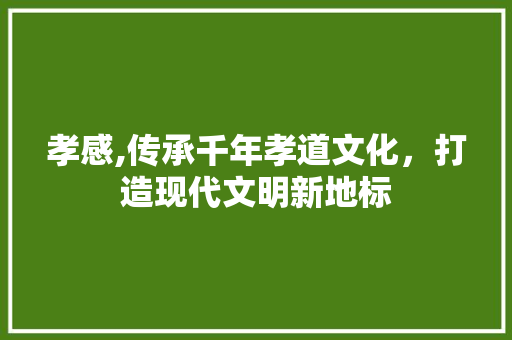 孝感,传承千年孝道文化，打造现代文明新地标 神马SEO