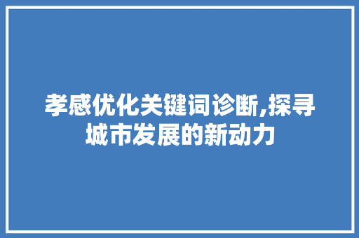 孝感优化关键词诊断,探寻城市发展的新动力 神马SEO