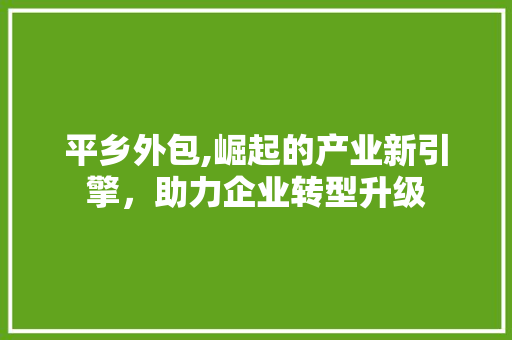 平乡外包,崛起的产业新引擎，助力企业转型升级 GoogleSEO