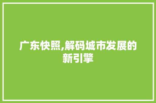 广东快照,解码城市发展的新引擎