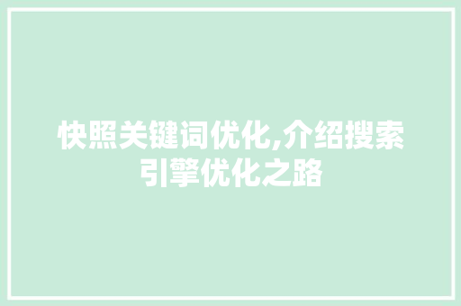 快照关键词优化,介绍搜索引擎优化之路 神马SEO