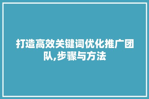 打造高效关键词优化推广团队,步骤与方法 搜狗SEO