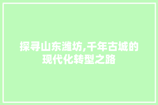 探寻山东潍坊,千年古城的现代化转型之路 神马SEO