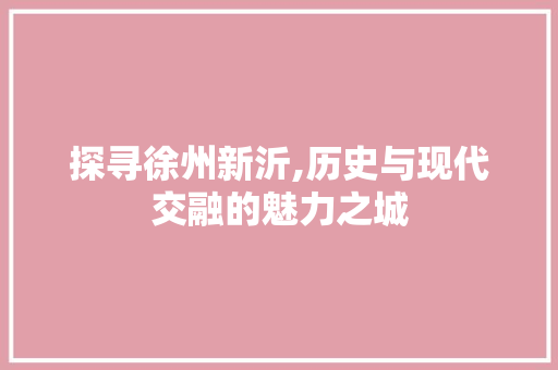 探寻徐州新沂,历史与现代交融的魅力之城 神马SEO