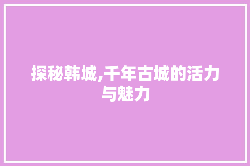 探秘韩城,千年古城的活力与魅力 必应SEO