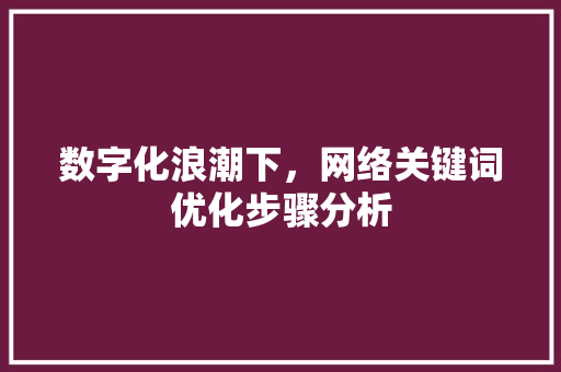 数字化浪潮下，网络关键词优化步骤分析 必应SEO