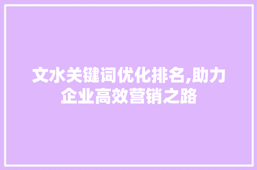 文水关键词优化排名,助力企业高效营销之路 神马SEO