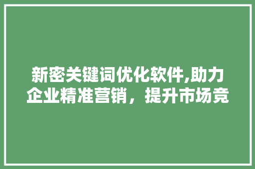 新密关键词优化软件,助力企业精准营销，提升市场竞争力 GoogleSEO