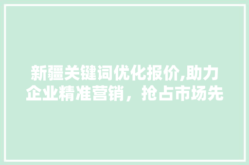 新疆关键词优化报价,助力企业精准营销，抢占市场先机 GoogleSEO