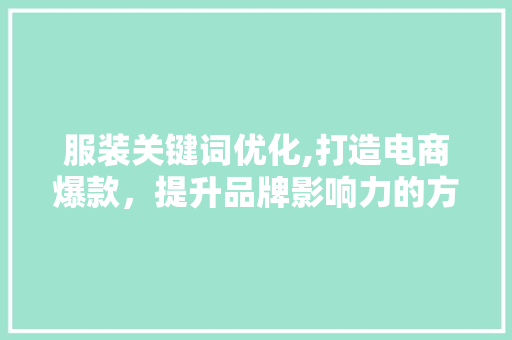 服装关键词优化,打造电商爆款，提升品牌影响力的方法 搜狗SEO